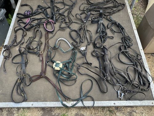 Job lot assorted - of, bridles