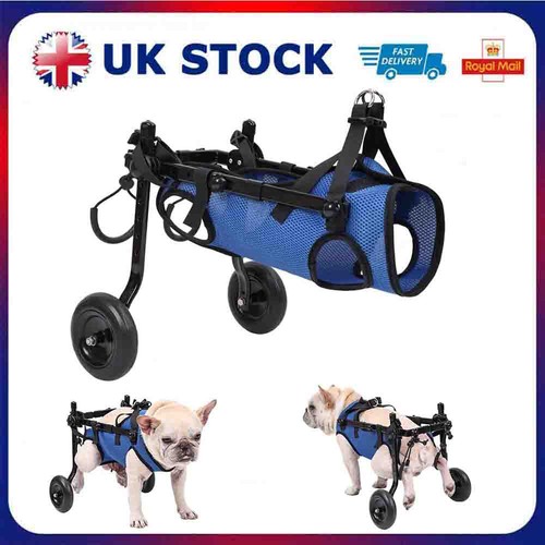 Adjustable pet rehabilitation - pet,