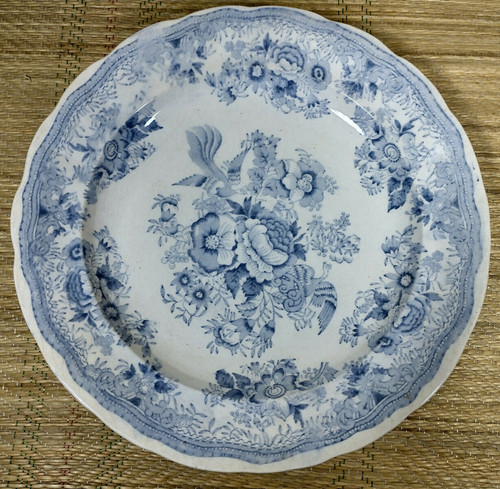 Antique asiatic pheasant - antique, plate