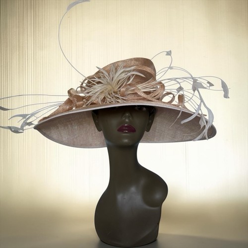 Large wide brim hat - hat., capelli