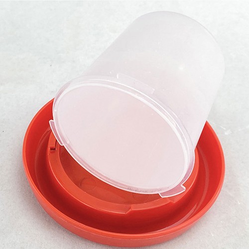 Reusable plastic chicken - reusable,