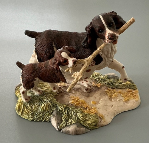 Border fine arts springer - fine,