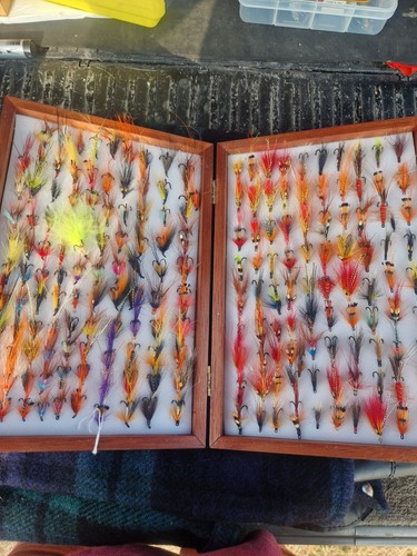 Large box salmon - large, and