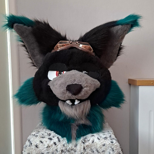 Grey blue lynx fursuit - blue,