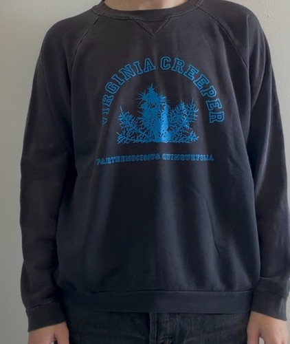 2001 2002 raf - aw,