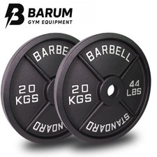 20KG X 10 Cast Iron Weight