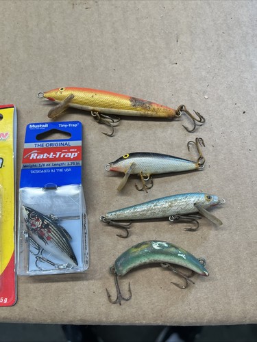 Fishing lures rapala - rapala,, beetle