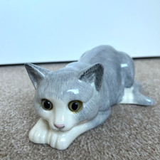 Just Cats & Co Staffordshire