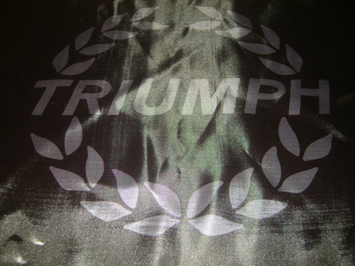 Triumph 20x30 flag banner - triumph,