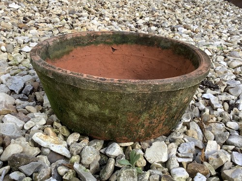 Small rustic terracotta plant - terracotta,