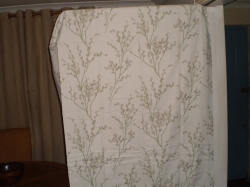 Laura ashley pussy - ashley, willow