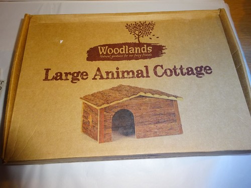 Woodlands wooden hedgehog - woodlands, &