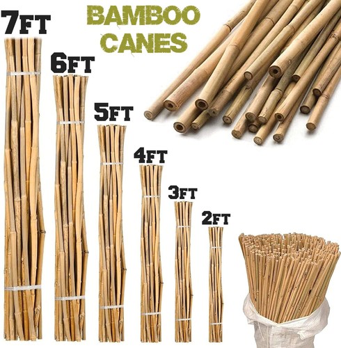 Bamboo heavy duty - bamboo,
