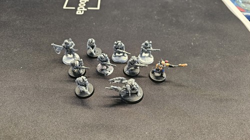 Neophyte hybrids - (c),