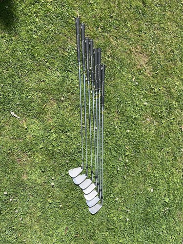 Wilson staff d100 - d100, set