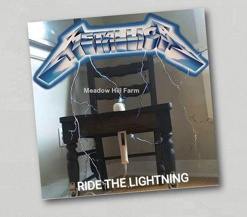 Fridge magnet metallica - fridge,