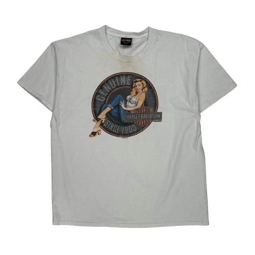 Harley davidson graphic - harley,