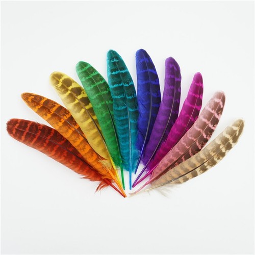 Natural pheasant tail - pheasant,