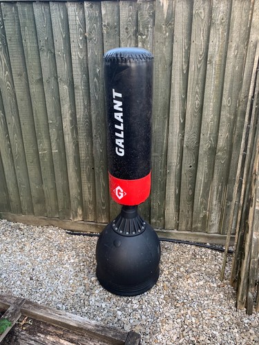 Gallant free standing boxing - free,