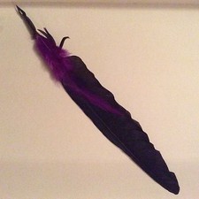 CROW FEATHER QUILL PEN 