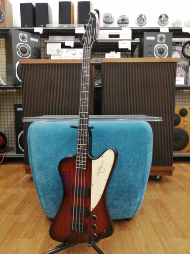 Epiphone thunder bird - thunder,