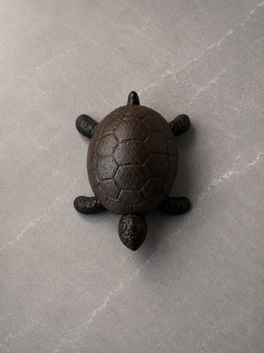 Cast iron turtle - cast, box
