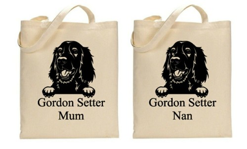 Gordon setter dog - setter,