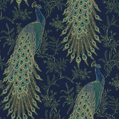 Rasch portfolio peacock - portfolio,