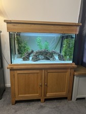 Rare Solid Oak Aquarium Set