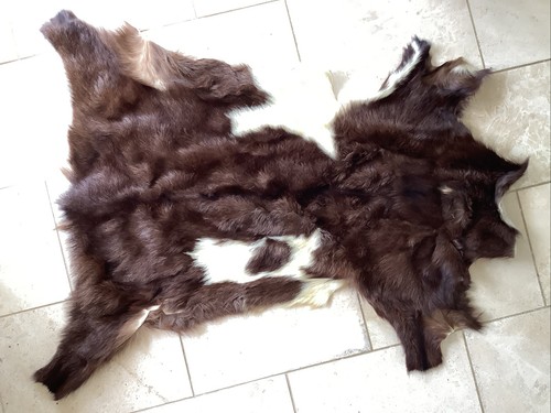 Goat skin rug 100 - skin, x