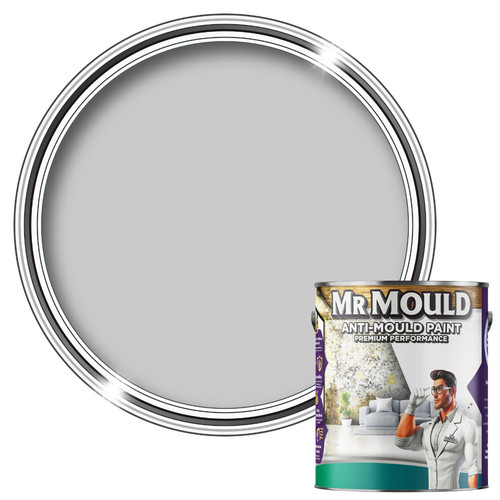Anti mould wall paint - anti,