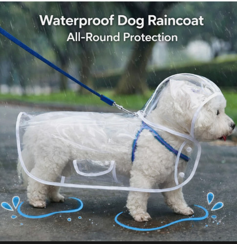 Transparent dog raincoat - transparent,