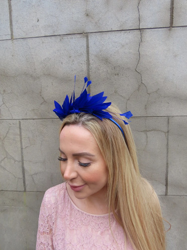 Royal blue feather - blue,
