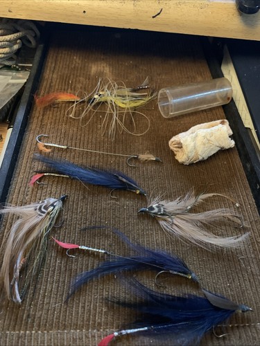 Old vintage trout salmon - old,