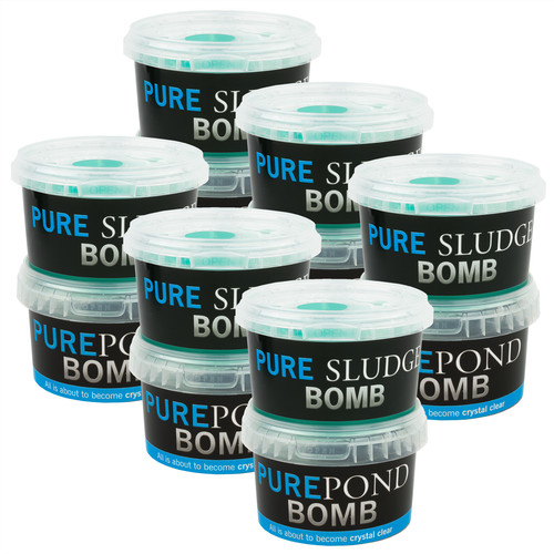 Evolution aqua pure bomb - aqua, /