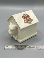 Crested China Bulldog In