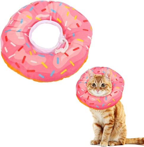 Cat cone post - cat,