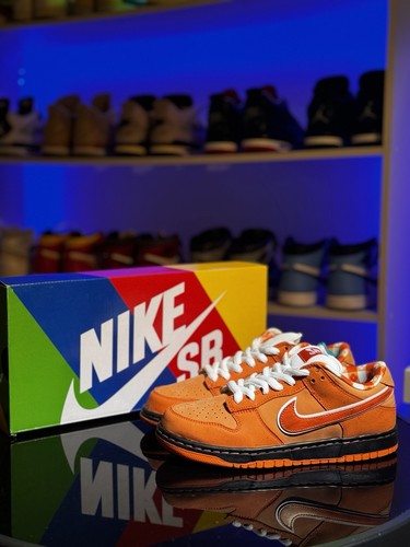 Concepts nike dunk - x,
