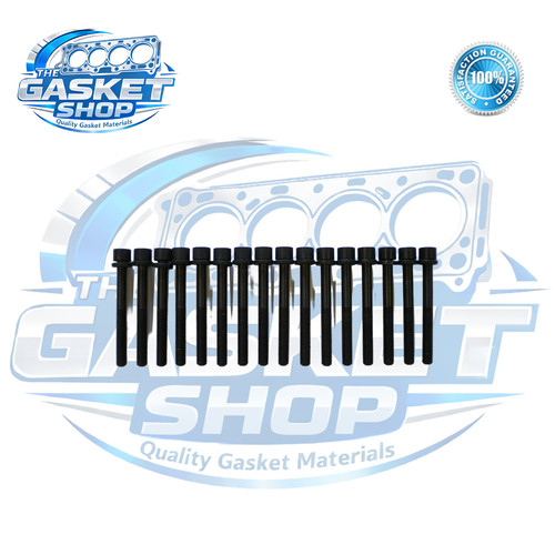 Cylinder head bolts fit - cylinder,