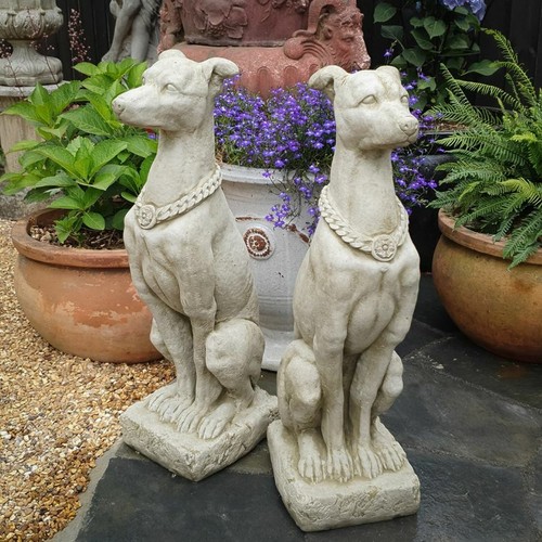 Pair large hunting hound - of,