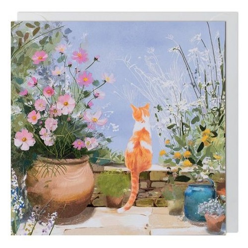 Illustrated birthday card - illustrated,