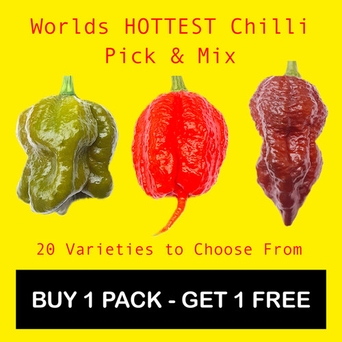 Worlds hottest chilli - chilli, seeds
