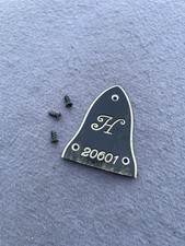 Arnold Hoyer guitar truss rod