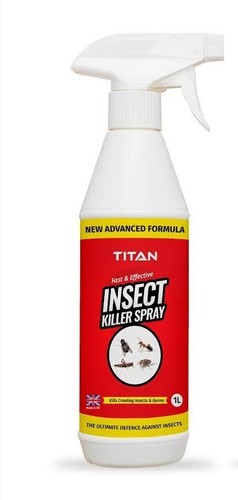 Titan insect carpet beetle - titan,