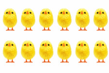 8 - 160  Chicks Bonnet Hat