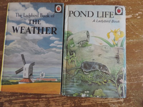 Vintage ladybird book the - ladybird,
