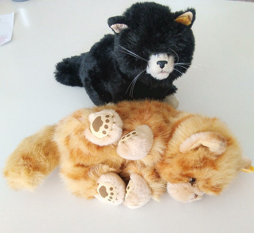 Vintage steiff kittens - vintage,
