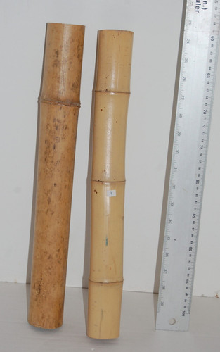 Bamboo poles reptiles craft - poles,, reptiles,
