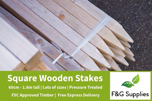 Tree stakes and posts - tree,