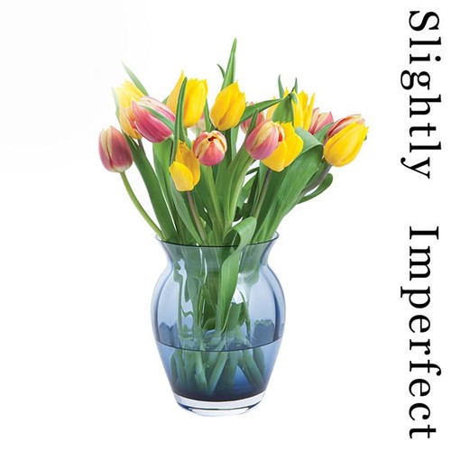 Florabundance colours tulip - florabundance,